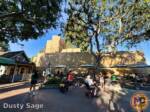 Disneyland News construction mark twain 1 MiceChat