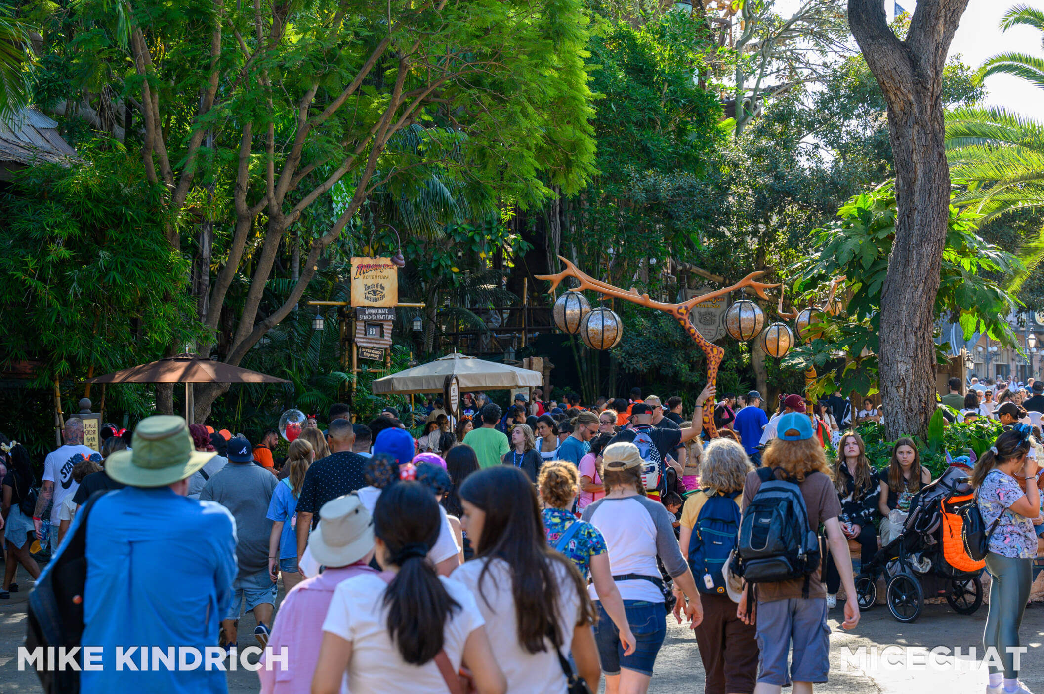 , Disneyland Update: Reservation Riddles, Disney Dilemmas, Cool Construction, and Holiday Hints
