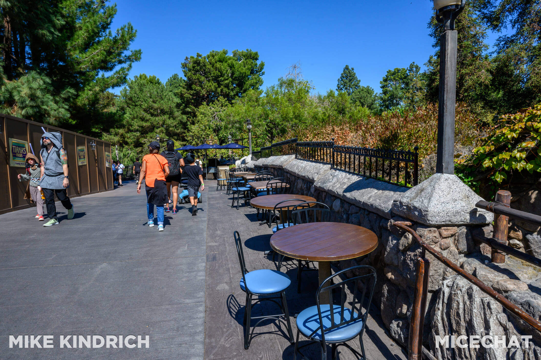 , Disneyland Update: Reservation Riddles, Disney Dilemmas, Cool Construction, and Holiday Hints