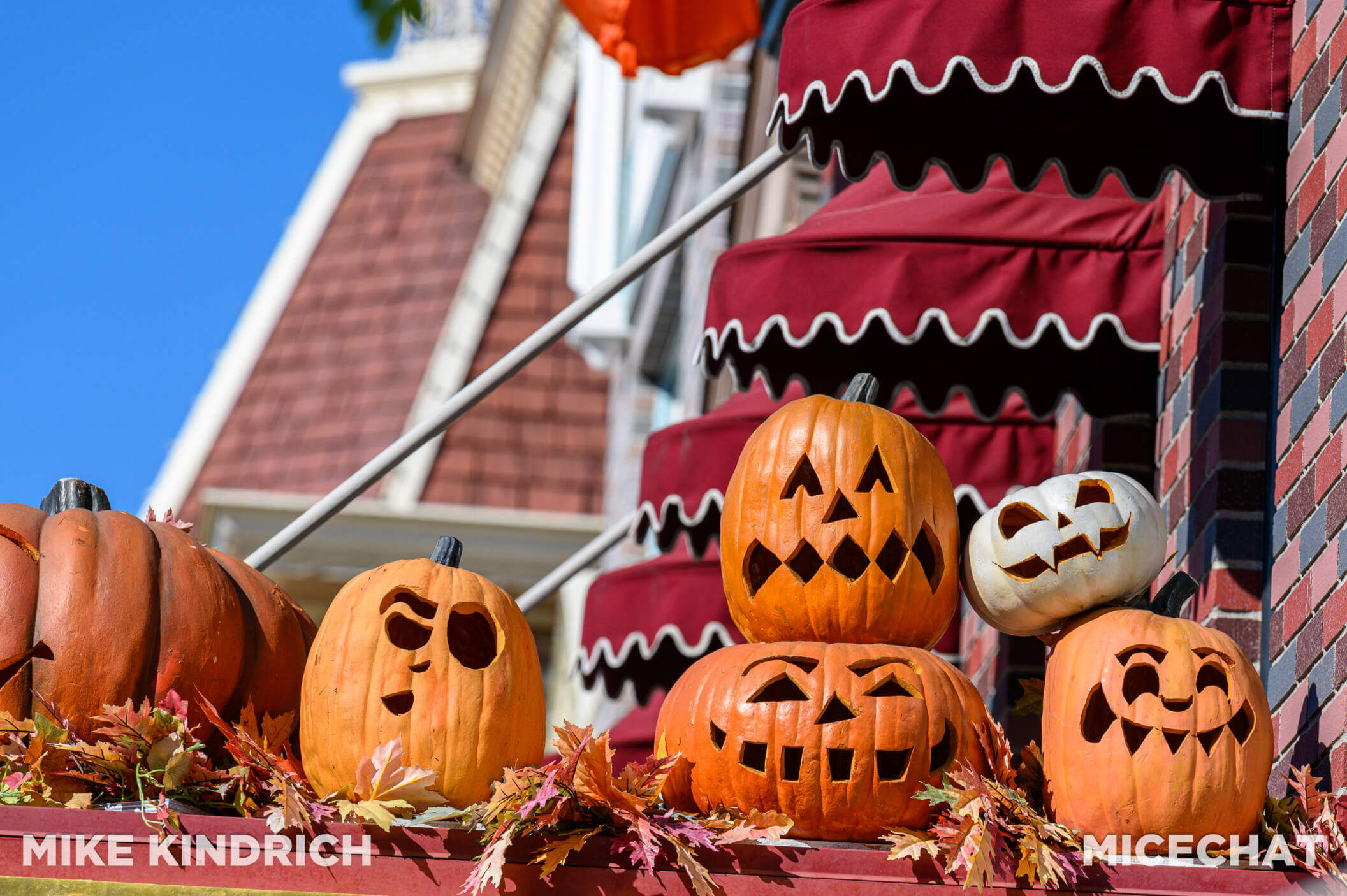 , Disneyland Update: Reservation Riddles, Disney Dilemmas, Cool Construction, and Holiday Hints