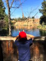 Tom Sawyer Island Disneyland