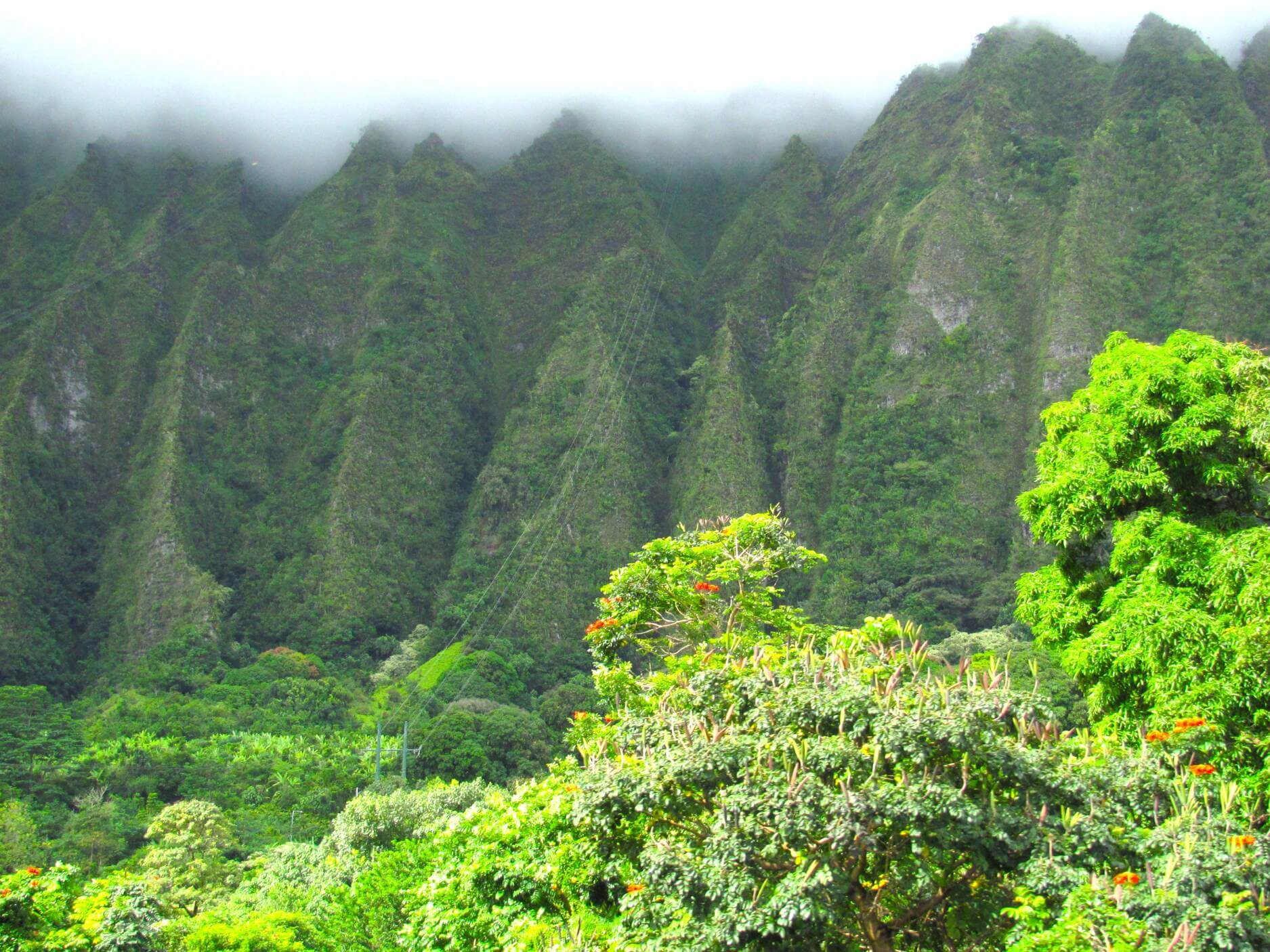 H-3 Drive O'ahu