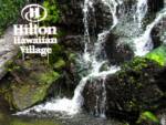 Hilton Hawaiian Village O’ahu