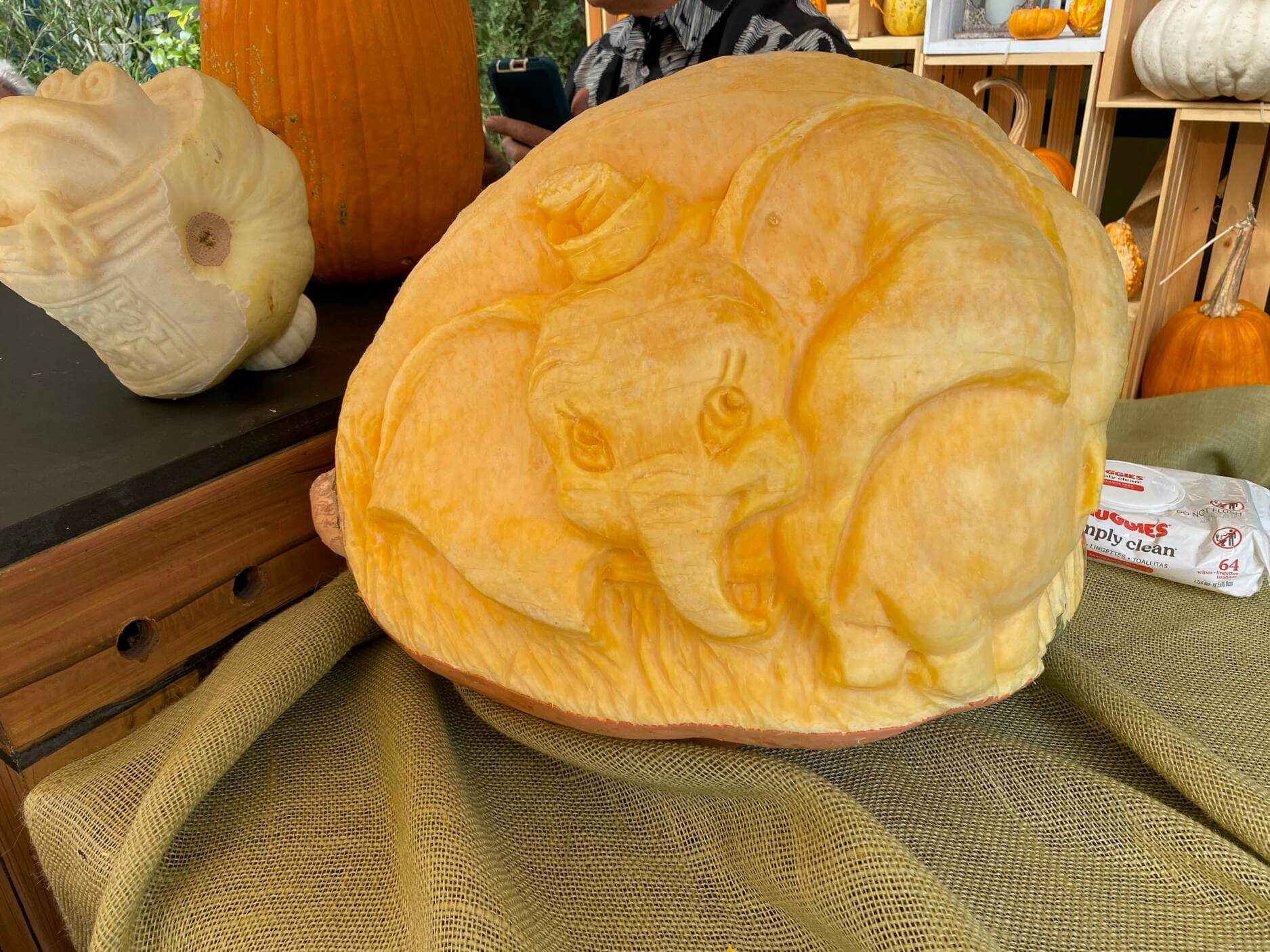 Joe Yakovetic, Joe Yakovetic’s Pumpkin Wonderland at the Disneyland Hotels Through Halloween!