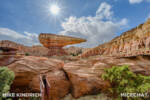 Mike Kindrich_Disney California Adventure_Cars Land (1 of 1)