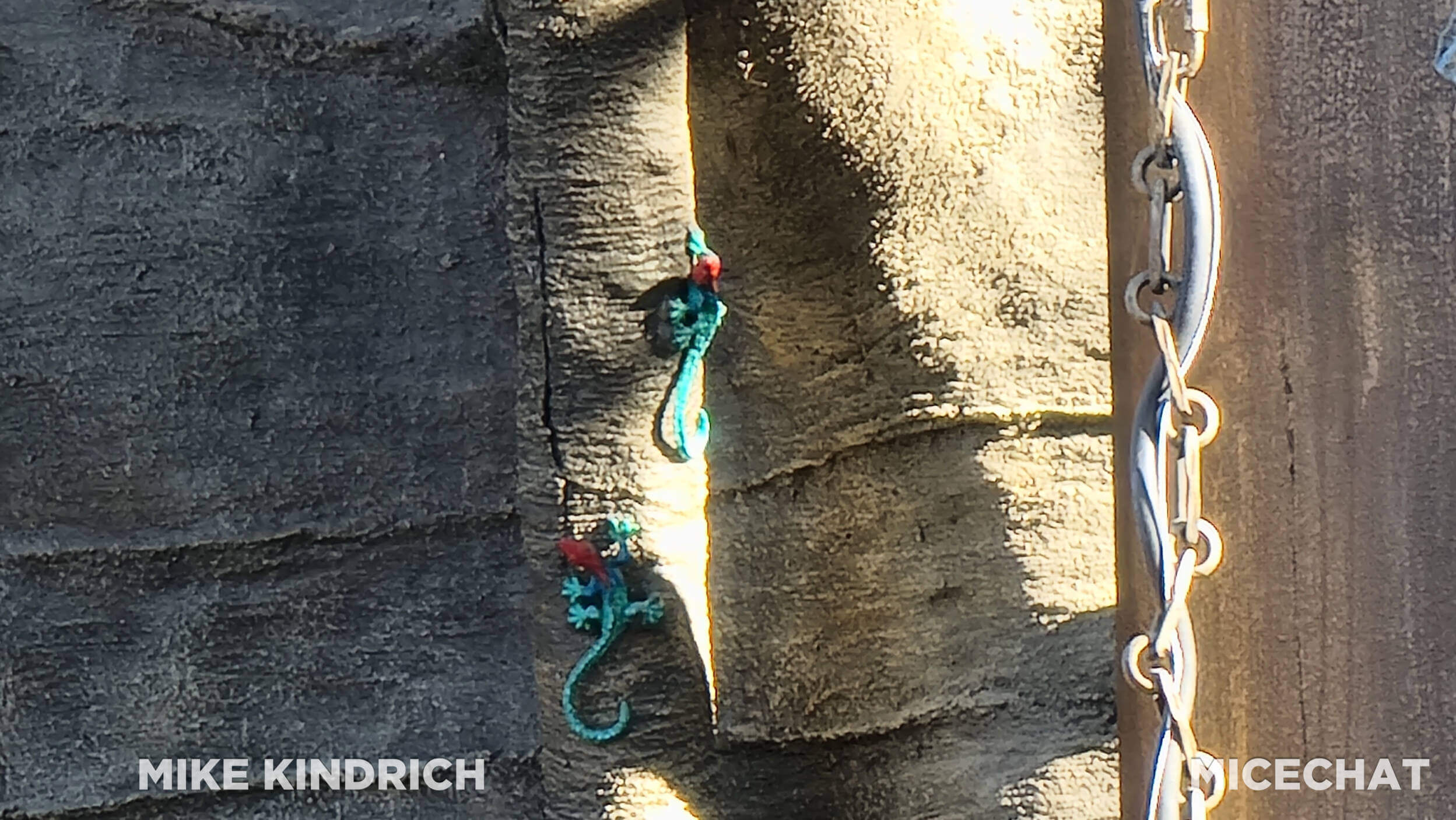 , Disneyland Update – Snowfall, Pumpkins & Missed Opportunities!