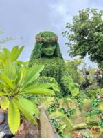 WDW-Disney-World-epcot-world-nature-journey-water-moana-lake-te-fiti-tefiti-4