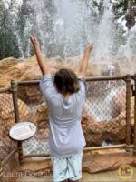 WDW-Disney-World-epcot-world-nature-journey-water-moana-ocean-21