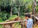 WDW-Disney-World-epcot-world-nature-journey-water-moana-river-2