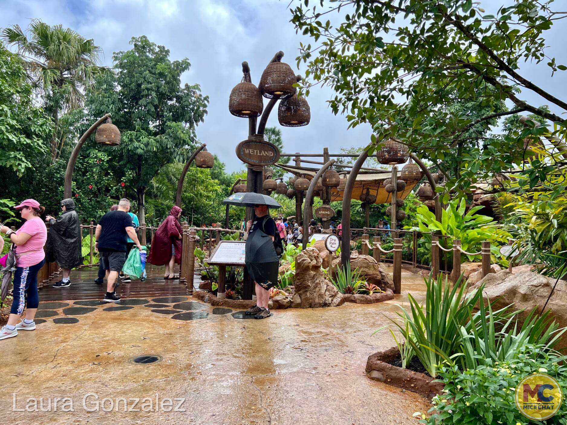 Journey of Water, Journey of Water Inspired by Moana Soft Opens Today