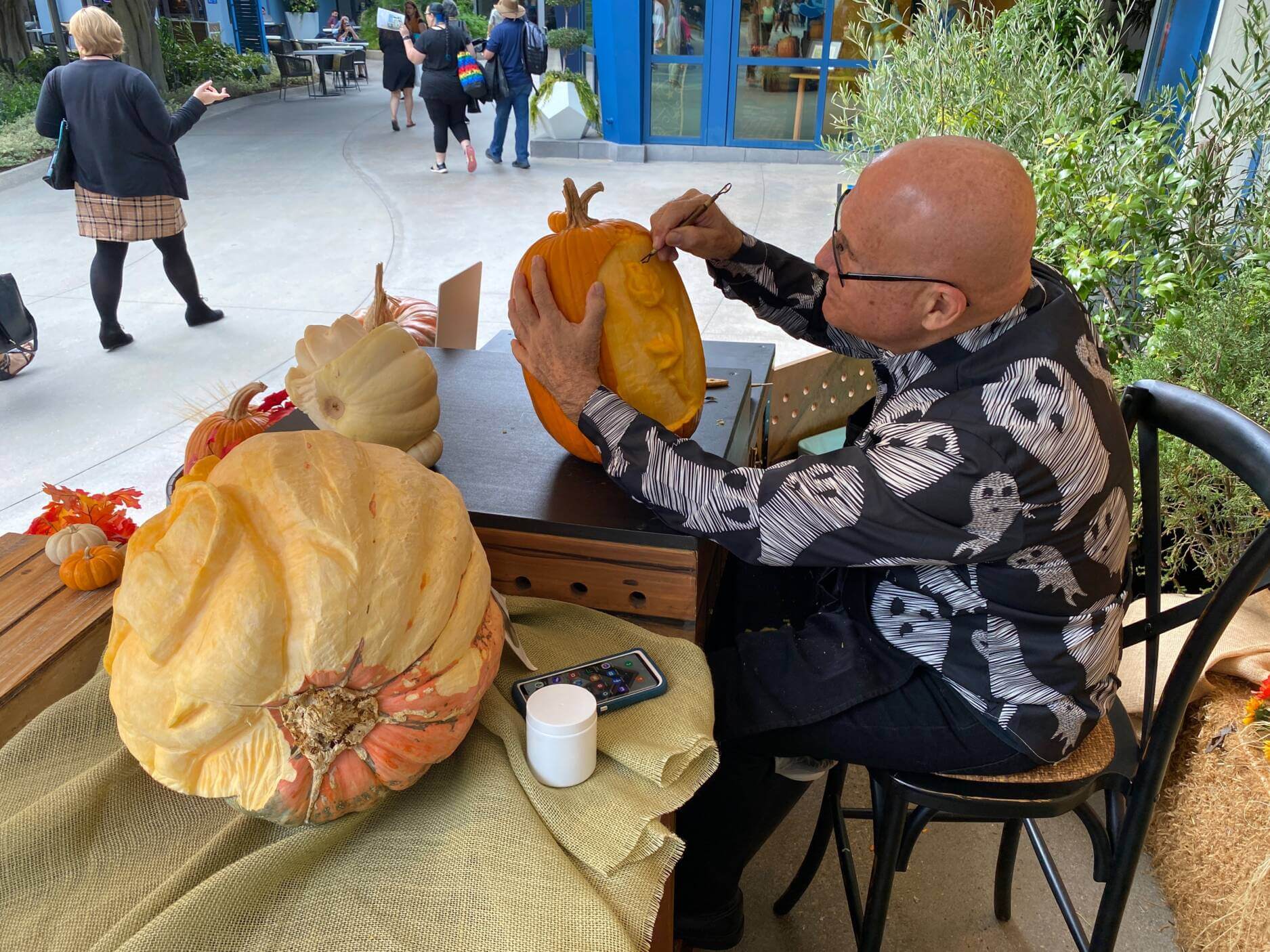 Joe Yakovetic, Joe Yakovetic’s Pumpkin Wonderland at the Disneyland Hotels Through Halloween!