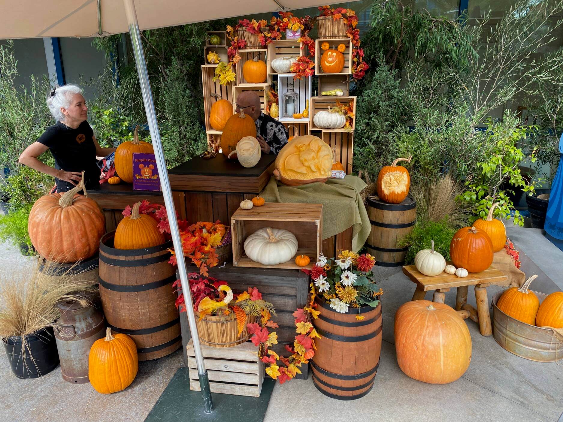 Joe Yakovetic, Joe Yakovetic’s Pumpkin Wonderland at the Disneyland Hotels Through Halloween!