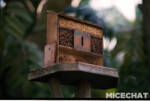 013_Disneyland_Adventureland Treehouse_35mm Film