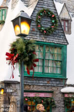 058_Universal Studios Hollywood Christmas 2024_The Wizarding World of Harry Potter