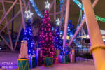 183_Knott’s Berry Farm_Knott’s Merry Farm_Boardwalk decorations