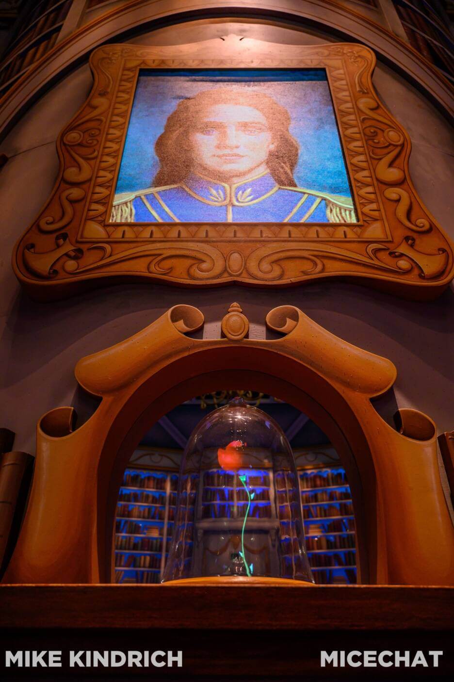 Beast's Library