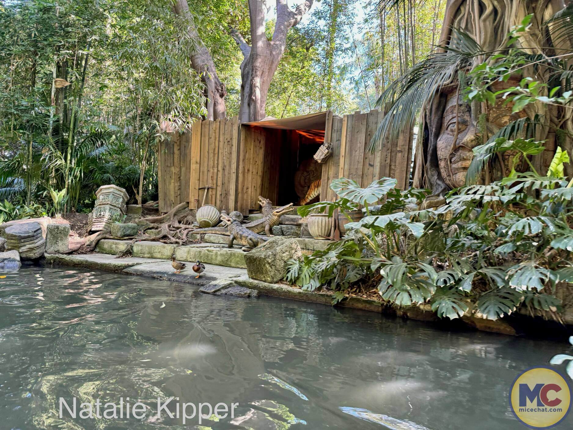 Disneyland holiday, Disneyland Update: Exciting Openings, Maintenance Concerns, Holiday Crush & Pin Rules