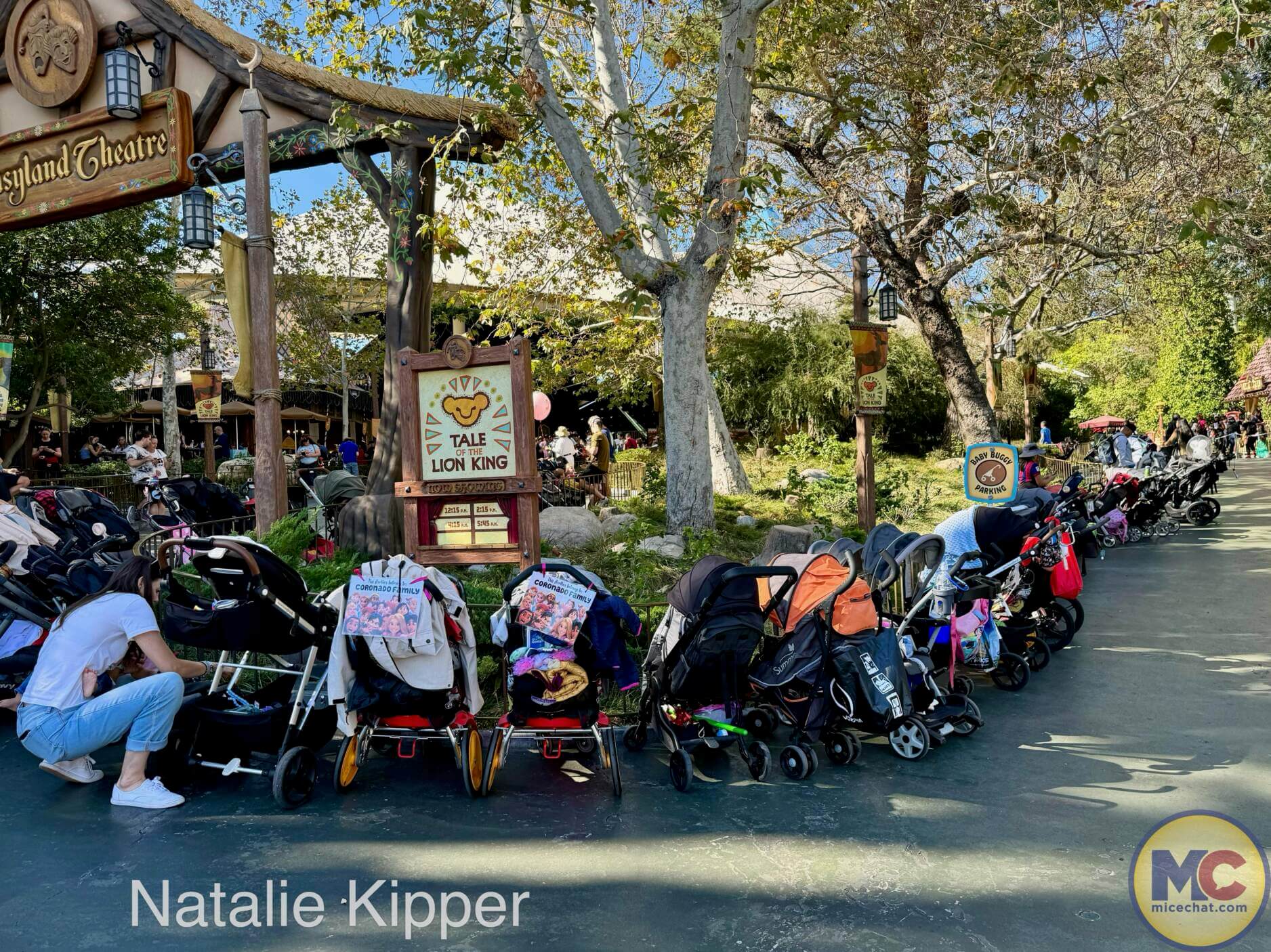 Disneyland holiday, Disneyland Update: Exciting Openings, Maintenance Concerns, Holiday Crush & Pin Rules