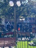 DIsneyland Light Post