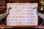 Disneyland Adventureland Treehouse Mothers Music Room Sheet Music
