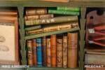 Disneyland Adventureland Treehouse boys room books