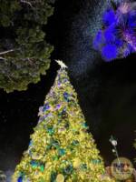 Disneyland Downtown Disney Christmas Tree Snow