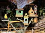 Disneyland News Adventureland Treehouse boys room birds MiceChat