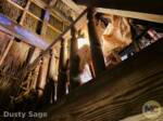 Disneyland News Adventureland Treehouse mothers loft MiceChat