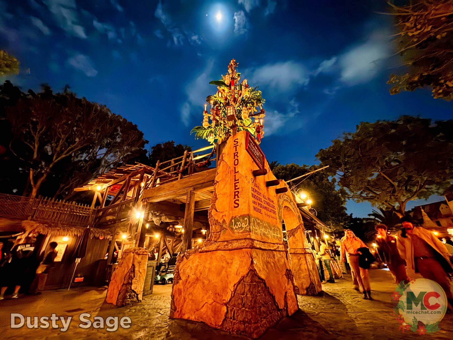 , Disneyland Update – Boom, Bust, Crowd Crush & It’s a Small Nude After All