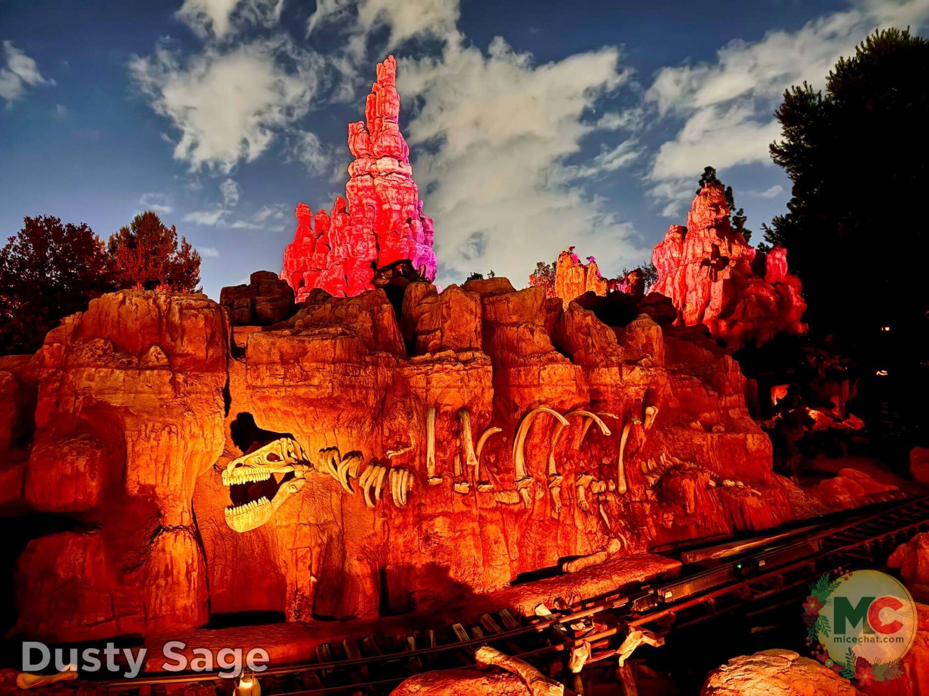 , Disneyland Update – Boom, Bust, Crowd Crush & It’s a Small Nude After All