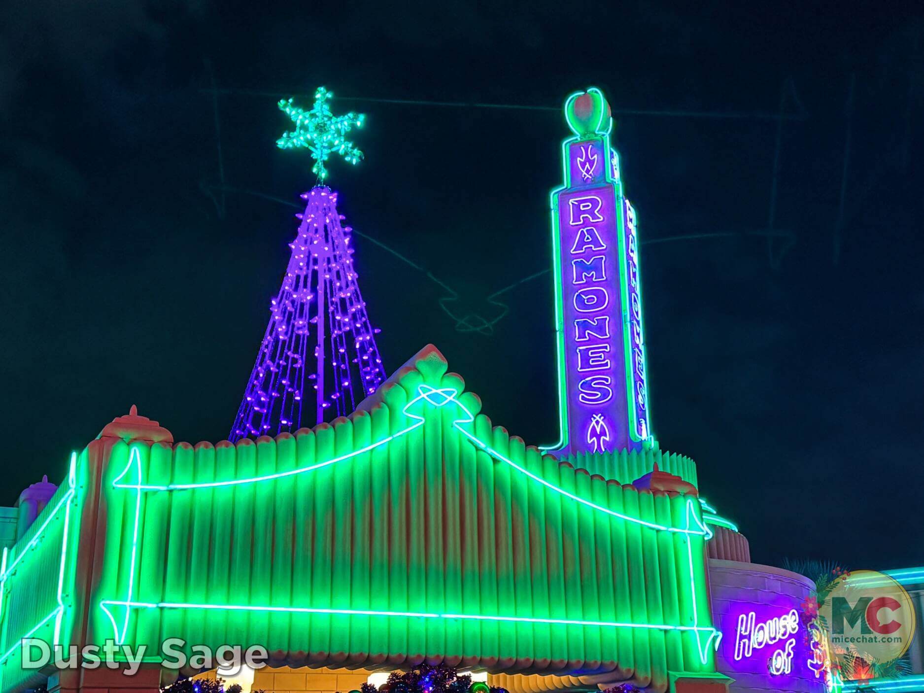, Disneyland Update – Boom, Bust, Crowd Crush & It’s a Small Nude After All