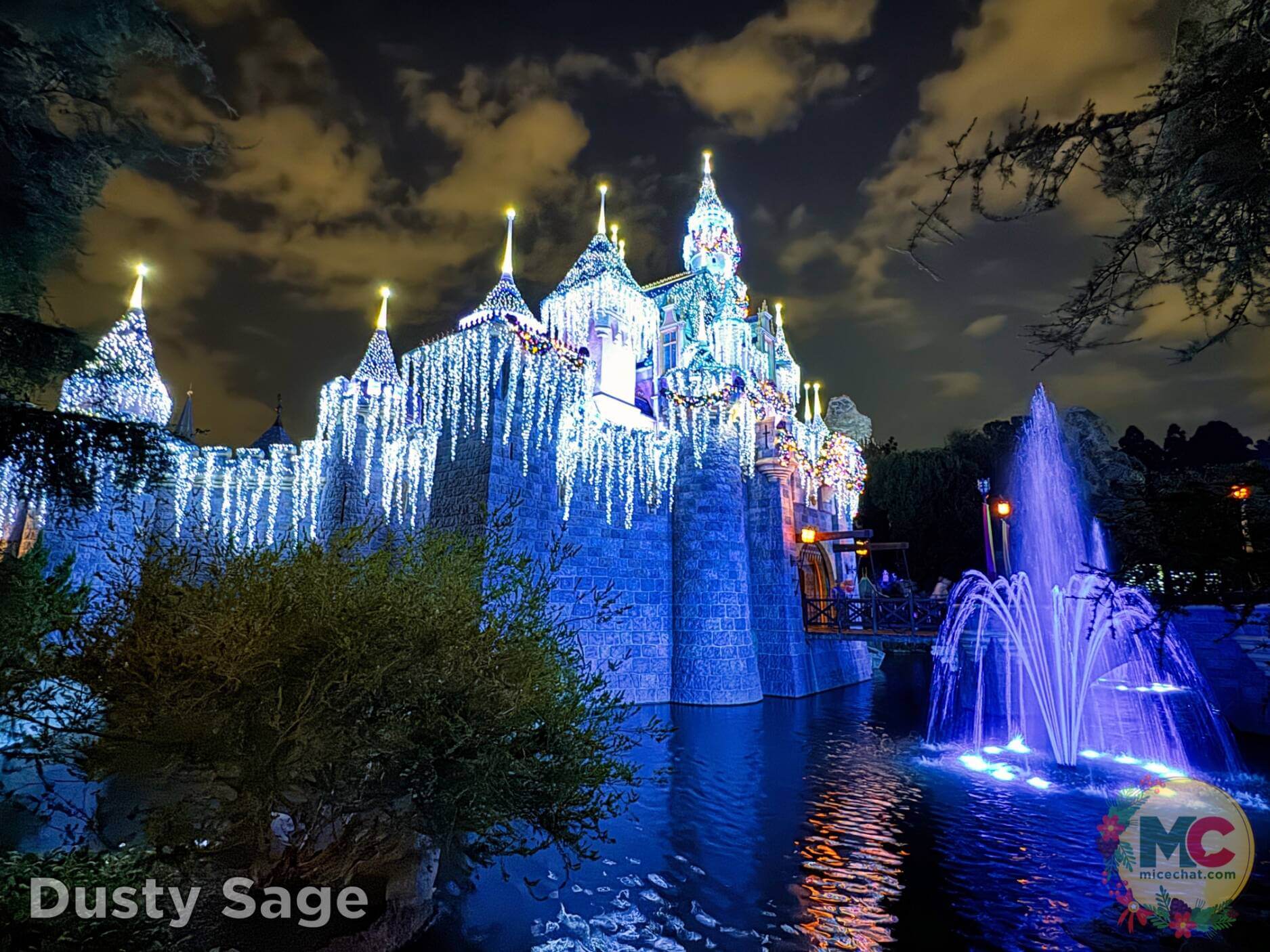 , Disneyland Update – Boom, Bust, Crowd Crush & It’s a Small Nude After All