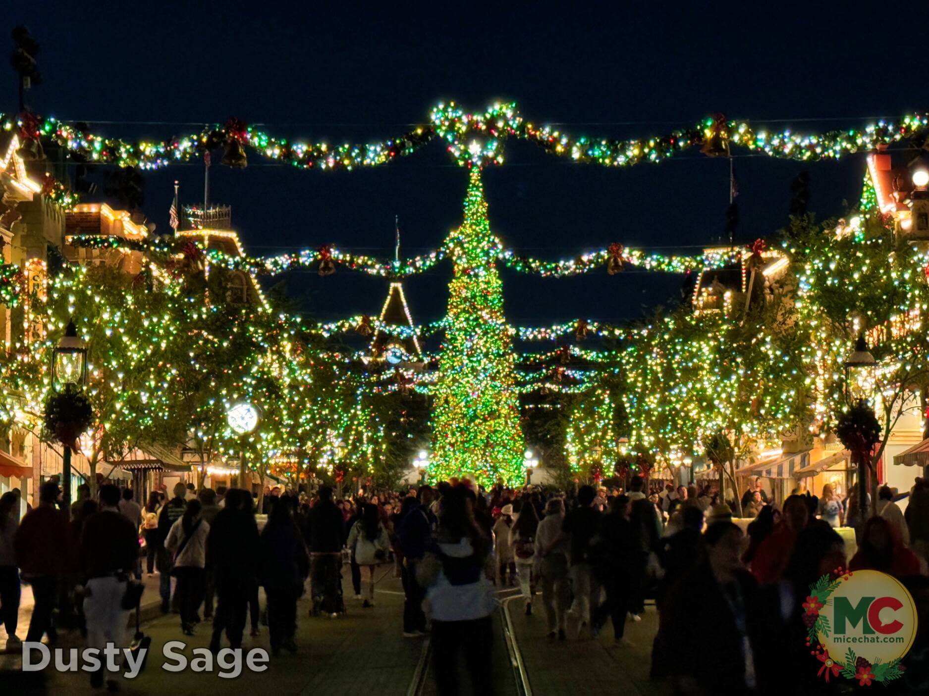 , Disneyland Update – Boom, Bust, Crowd Crush & It’s a Small Nude After All