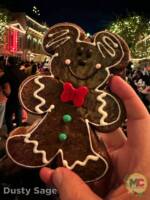 Disneyland News Beauty Christmas Mickey Gingerbread MiceChat