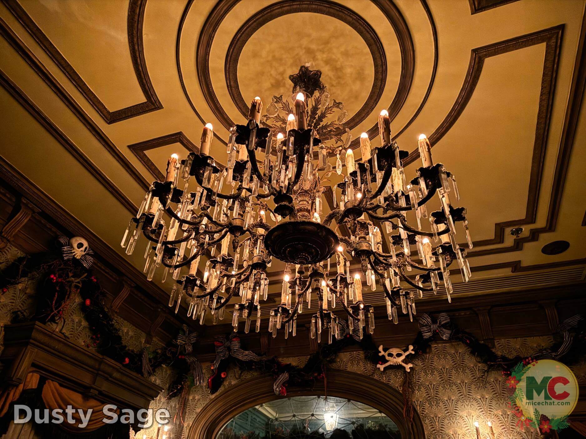 , Disneyland Update – Boom, Bust, Crowd Crush & It’s a Small Nude After All