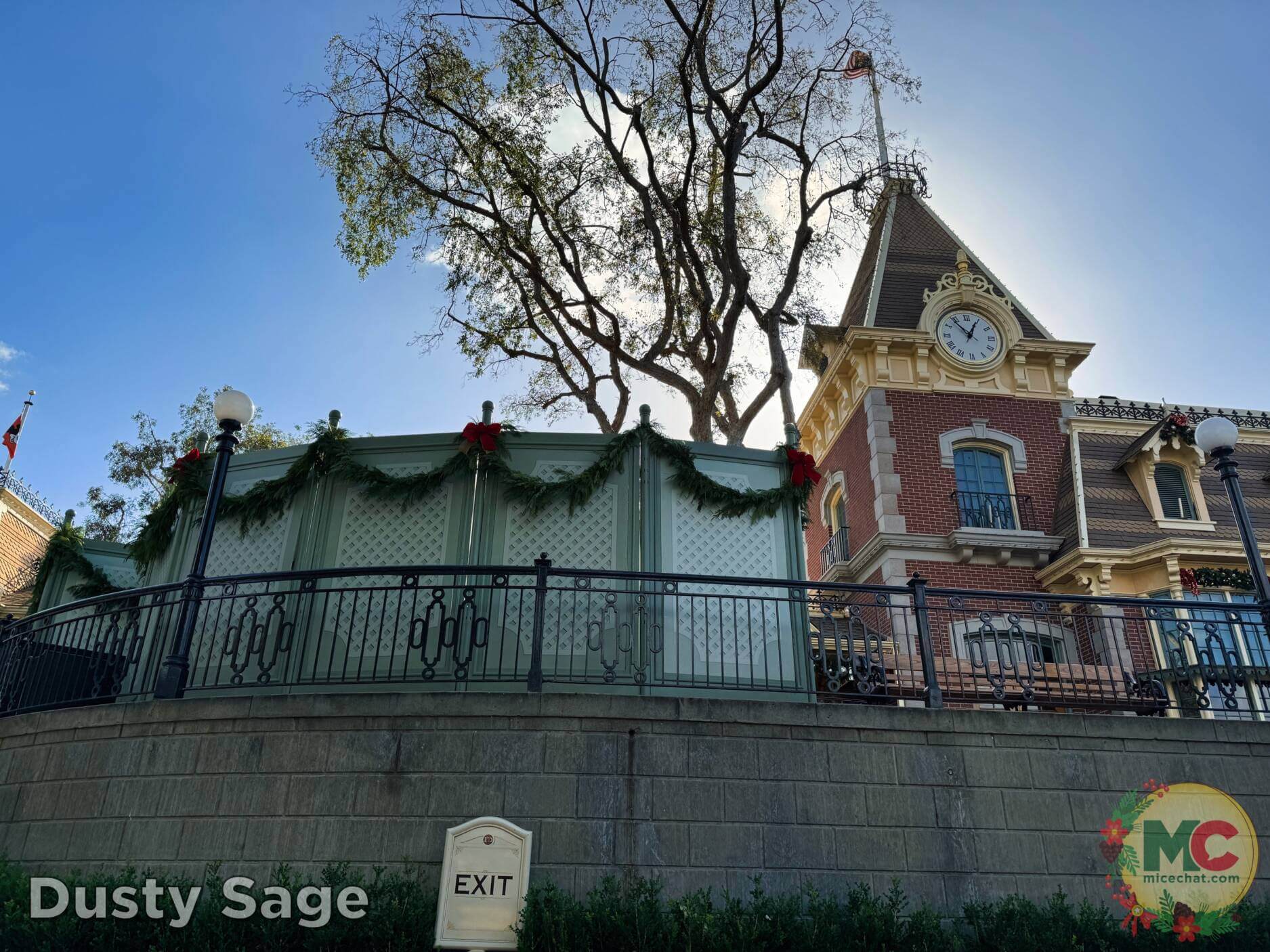 , Disneyland Update – Boom, Bust, Crowd Crush & It’s a Small Nude After All