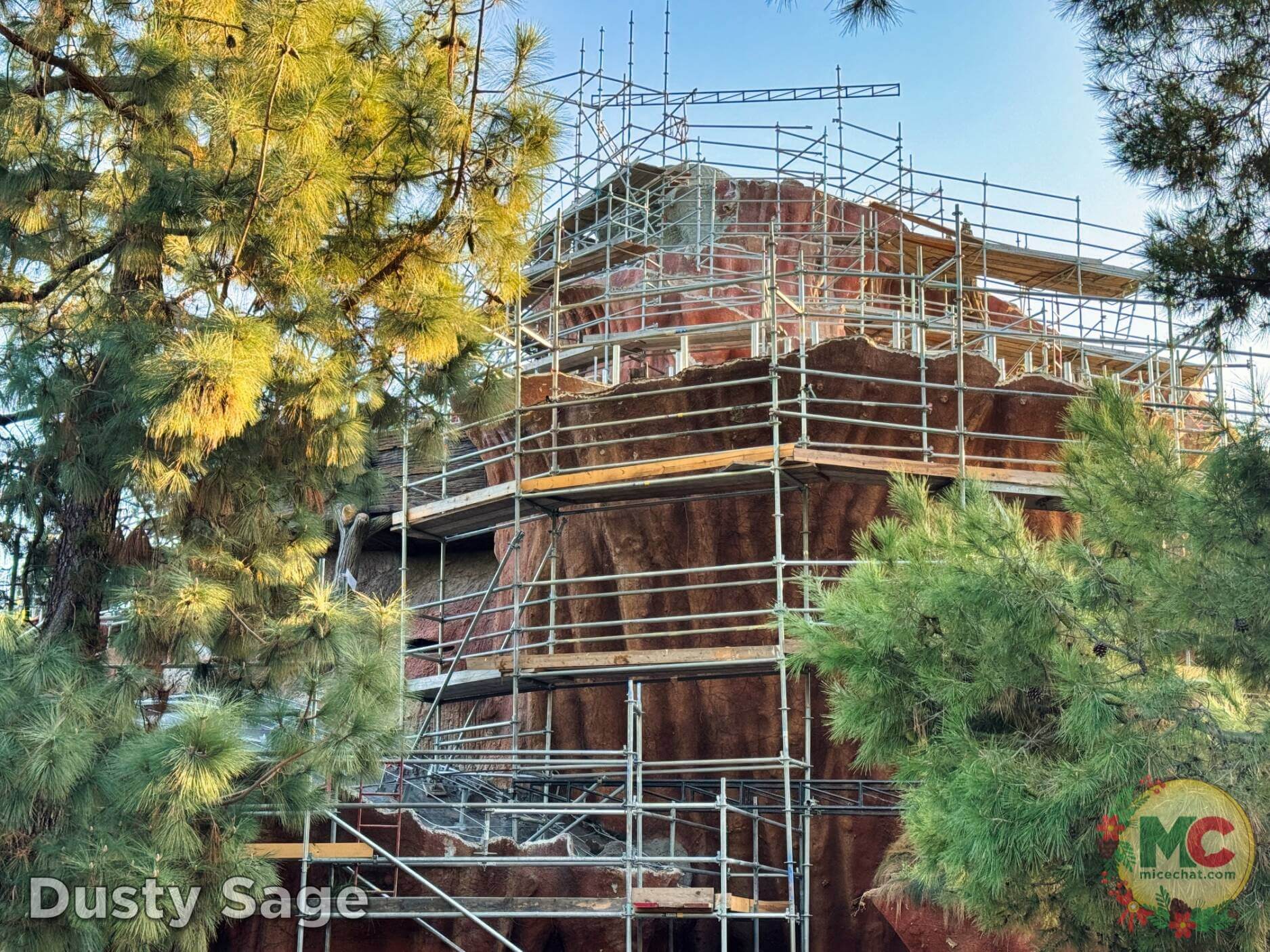 , Disneyland Update – Boom, Bust, Crowd Crush & It’s a Small Nude After All