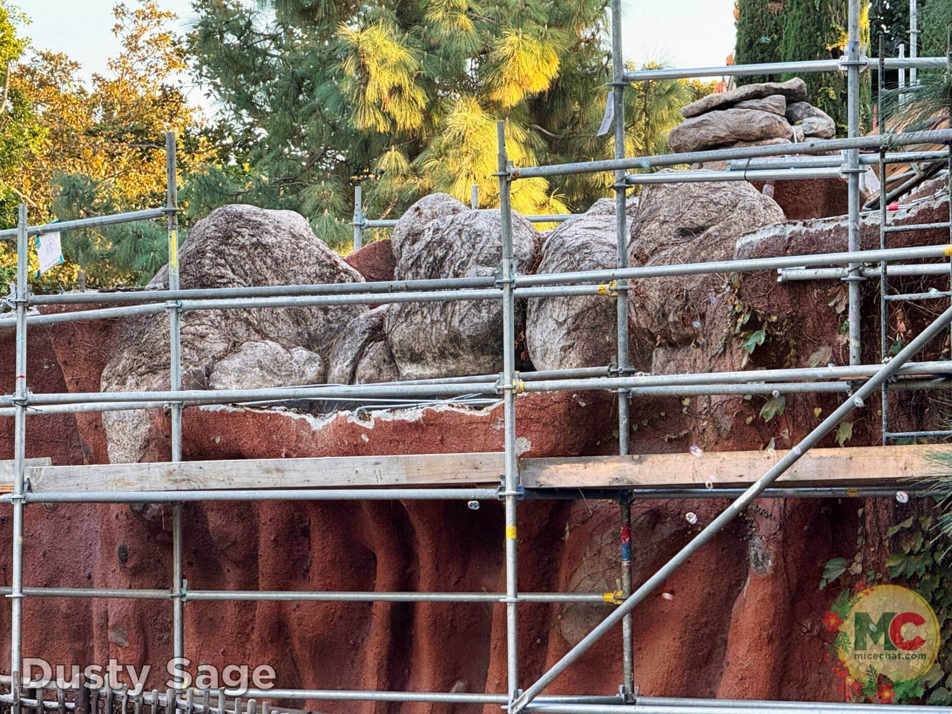 , Disneyland Update – Boom, Bust, Crowd Crush & It’s a Small Nude After All