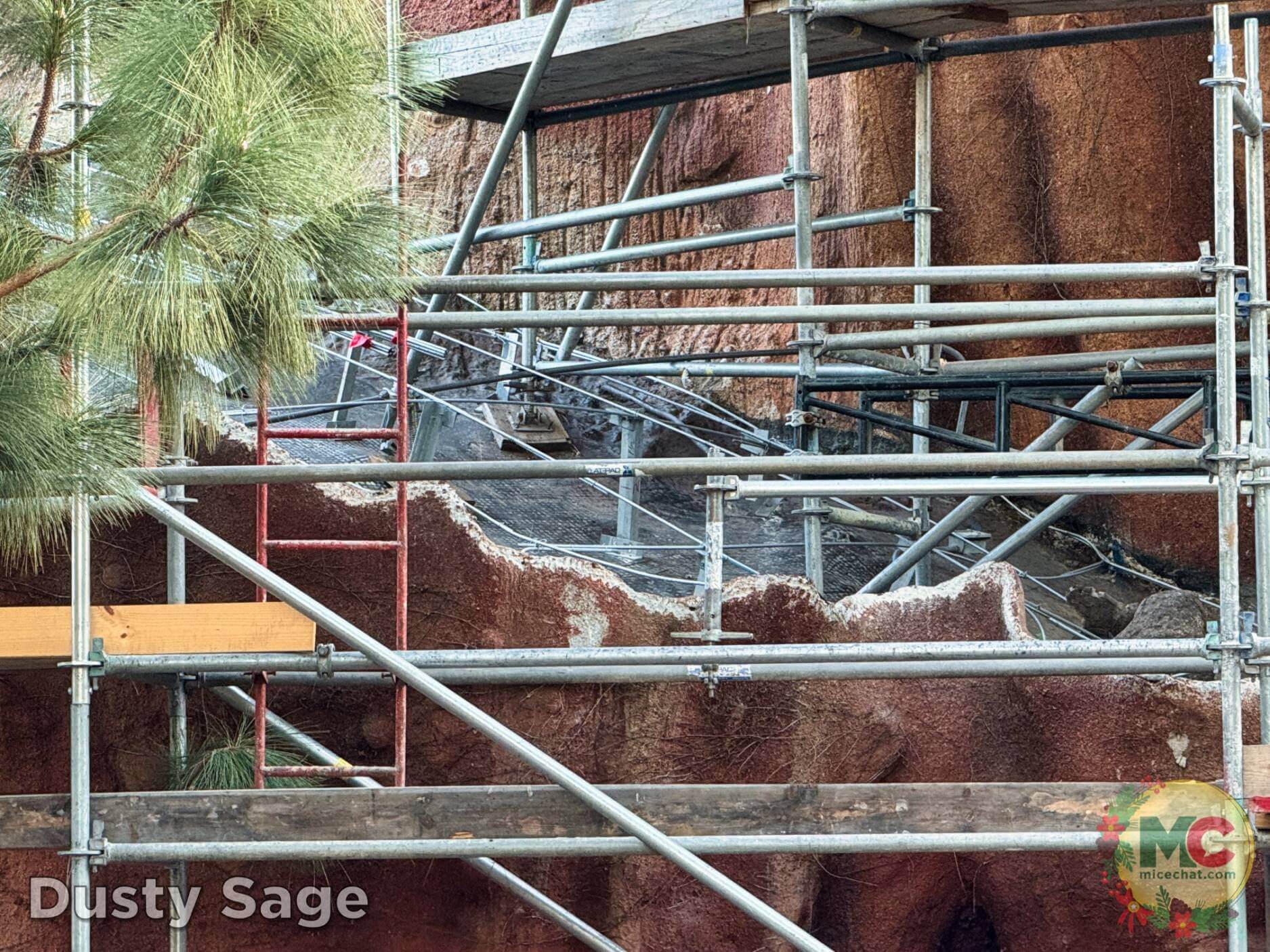 , Disneyland Update – Boom, Bust, Crowd Crush & It’s a Small Nude After All