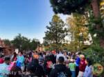 Disneyland News Crowds Big Thunder Trail MiceChat