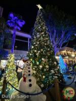 Disneyland News Downtown Disney Christmas Tree MiceChat