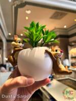 Disneyland News Merchandise Succlant Planter chip dale MiceChat