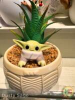 Disneyland News Merchandise Succlant Planter grogu MiceChat