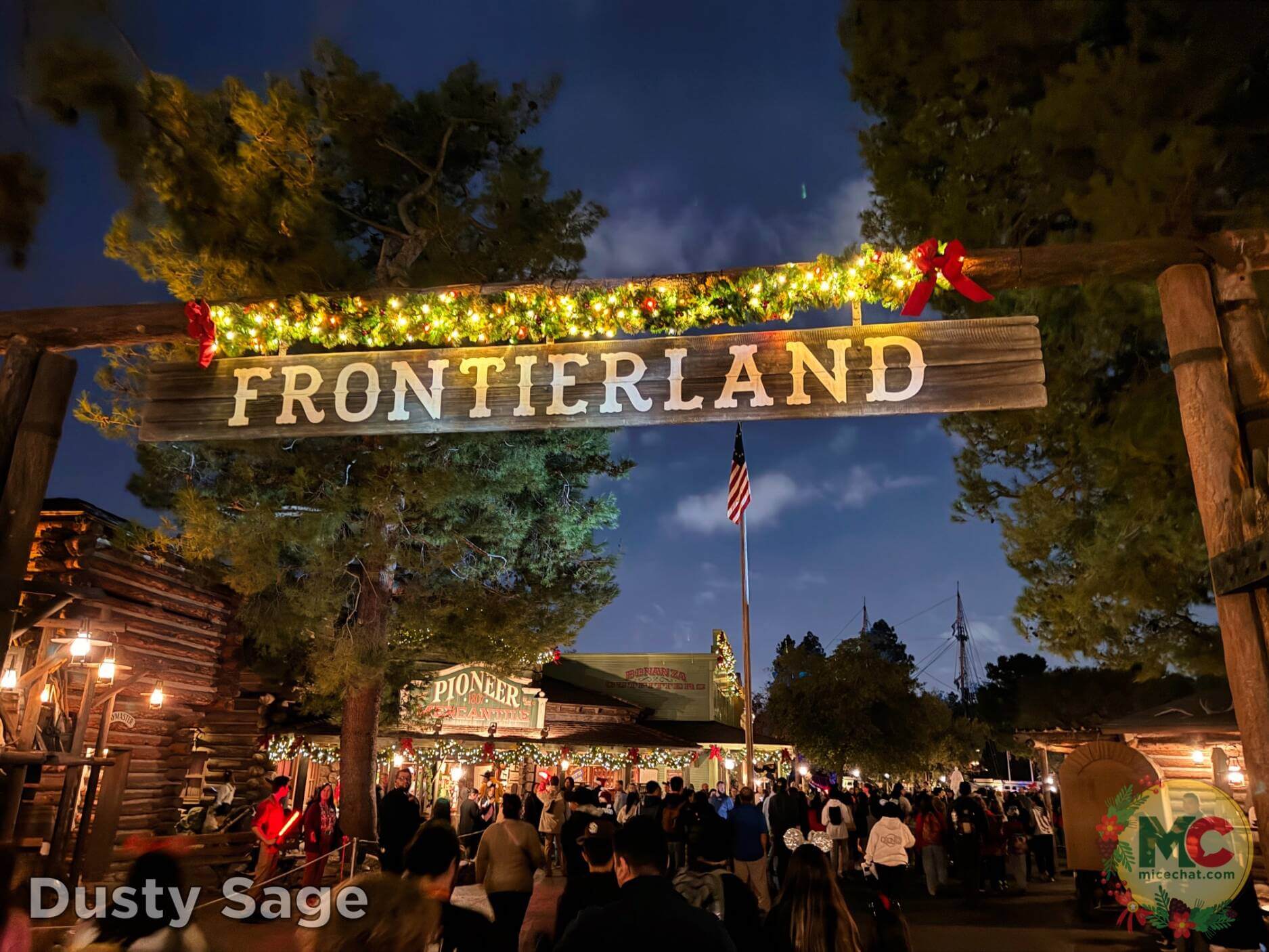 , Disneyland Update – Boom, Bust, Crowd Crush & It’s a Small Nude After All