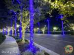 Disneyland News beauty disneyland hotel blue trees MiceChat