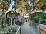 Disneyland News christmas frontierland MiceChat