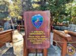 Disneyland News christmas redwood creek 1 MiceChat