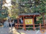 Disneyland News christmas redwood creek trail closed MiceChat