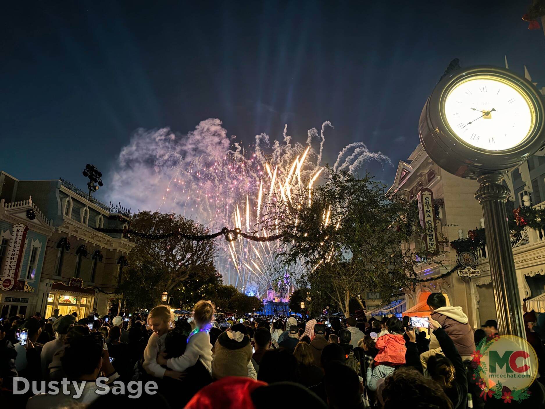 , Disneyland Update – Boom, Bust, Crowd Crush & It’s a Small Nude After All