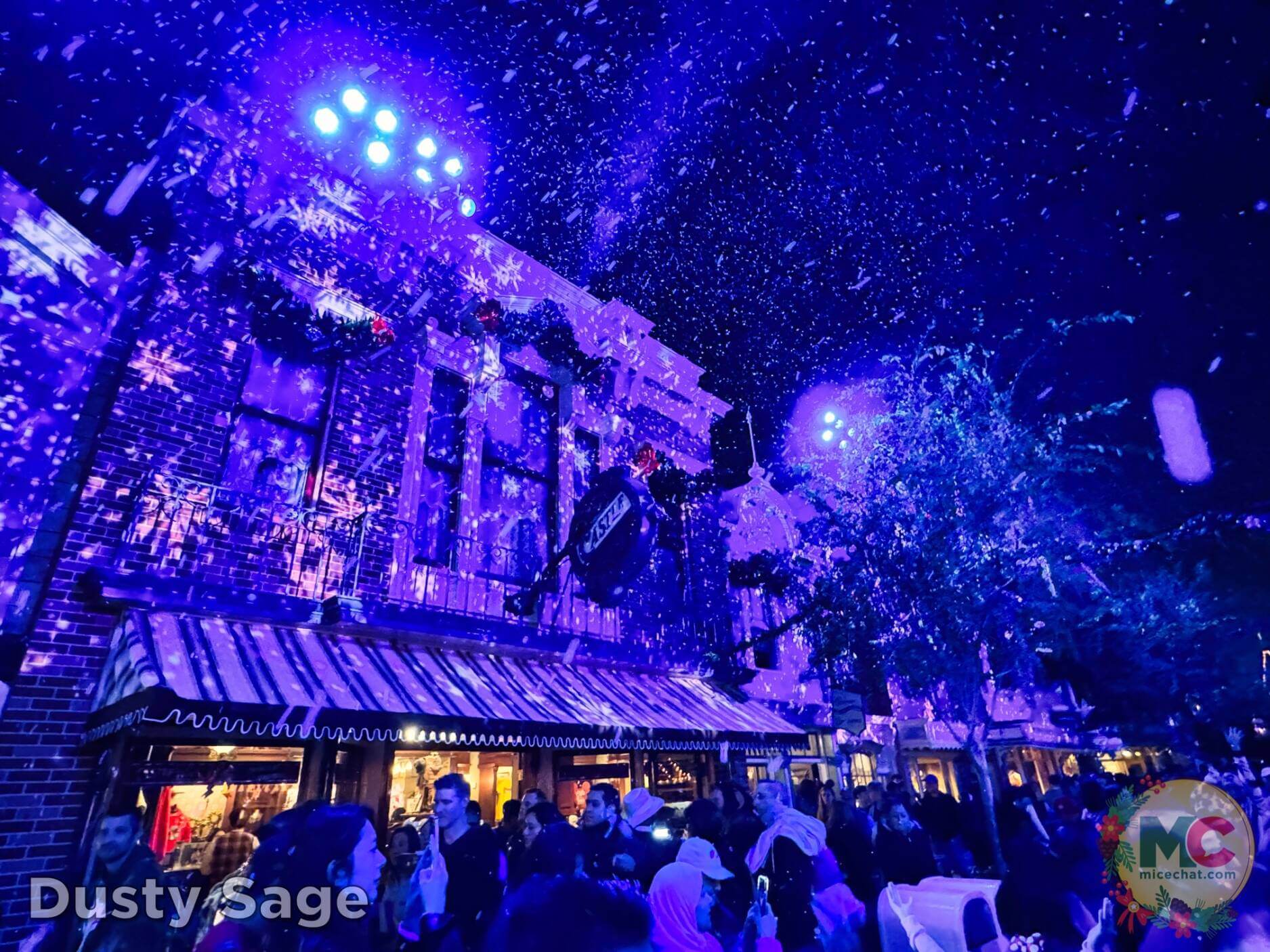 , Disneyland Update – Boom, Bust, Crowd Crush & It’s a Small Nude After All